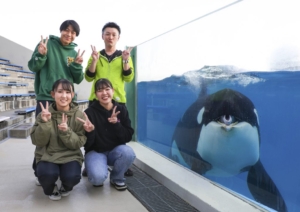 『シャチと記念写真』開催中－鴨川シーワールド